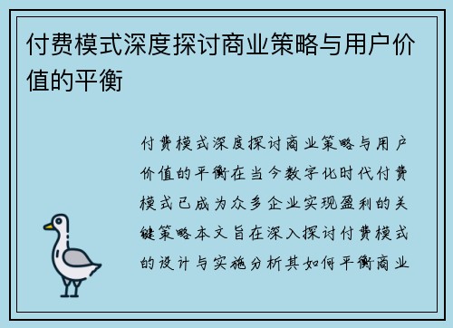 付费模式深度探讨商业策略与用户价值的平衡